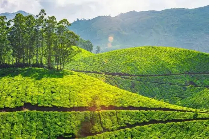 Top Hill Stations